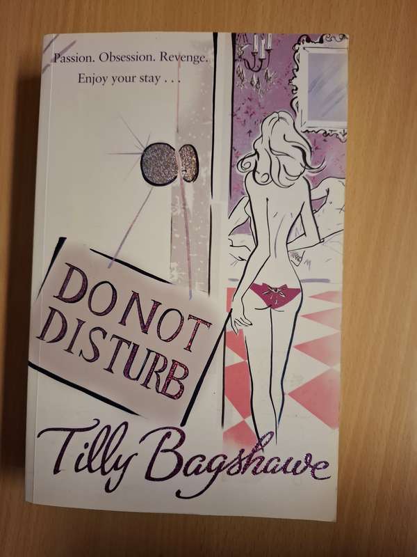 Do Not Disturb : Tilly Bagshawe  (Paperback)