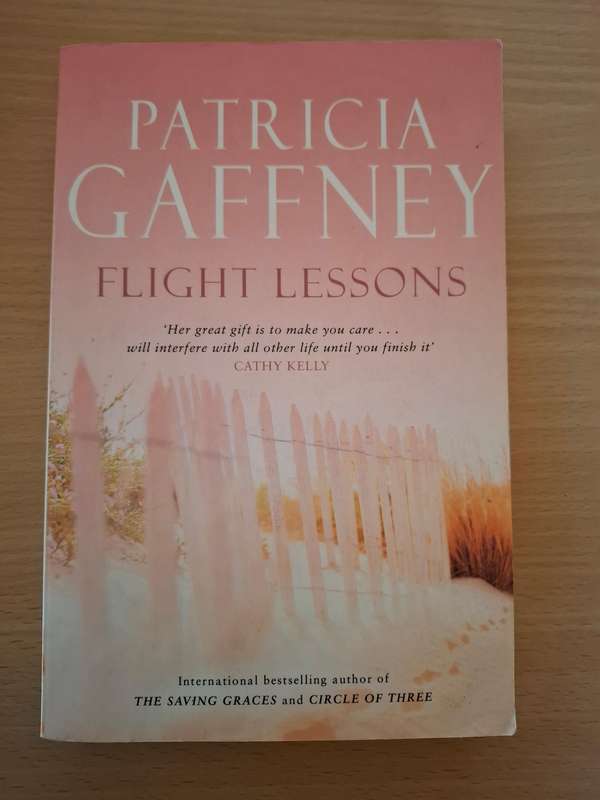 Flight Lessons : Patricia Gaffney  (Paperback)