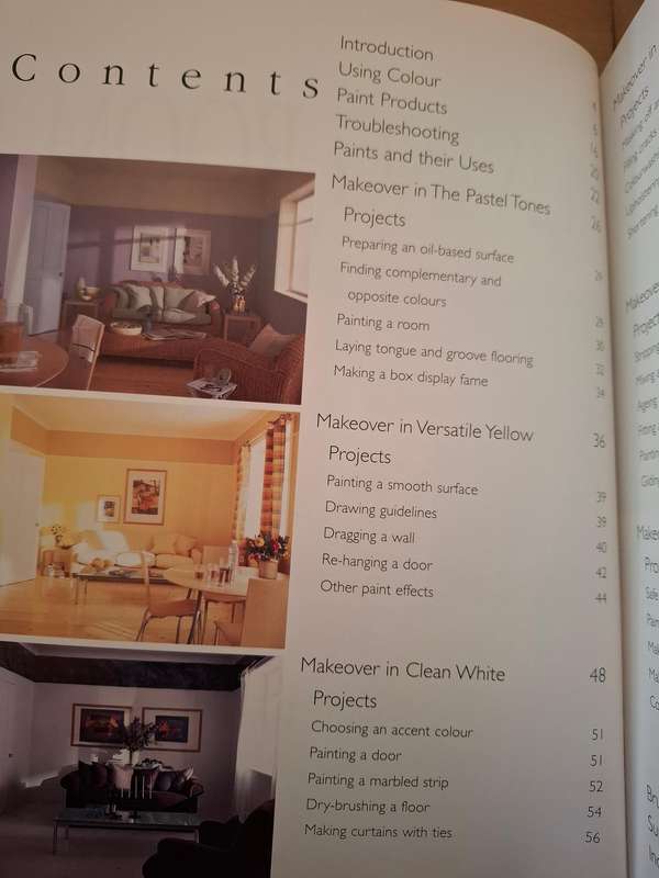 Livingroom Makeover & Project Book : Salli Brand (Paperback)