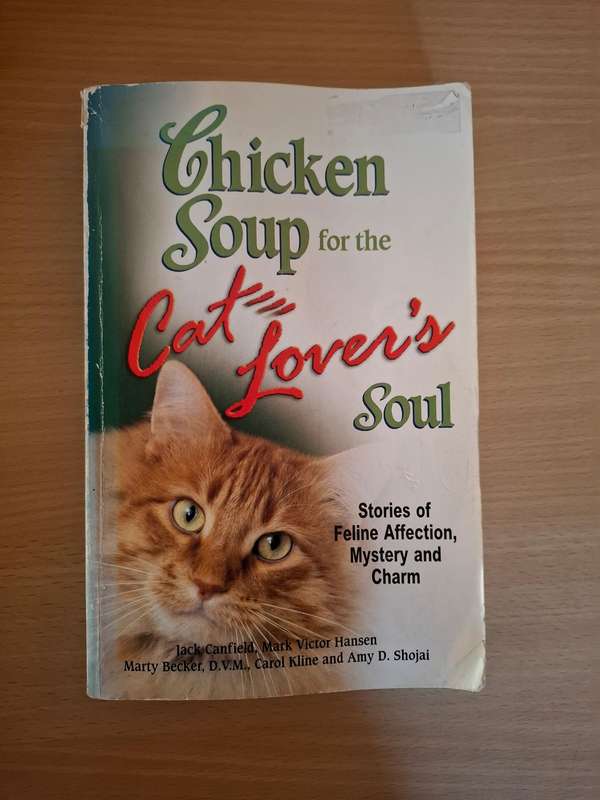 Chicken Soup for the Cat Lover`s Soul - Stories of Feline Affection, Mystery and Charm (Paperback)