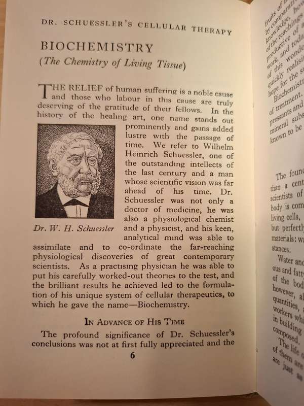 The Biochemic Handbook  (Hardcover)