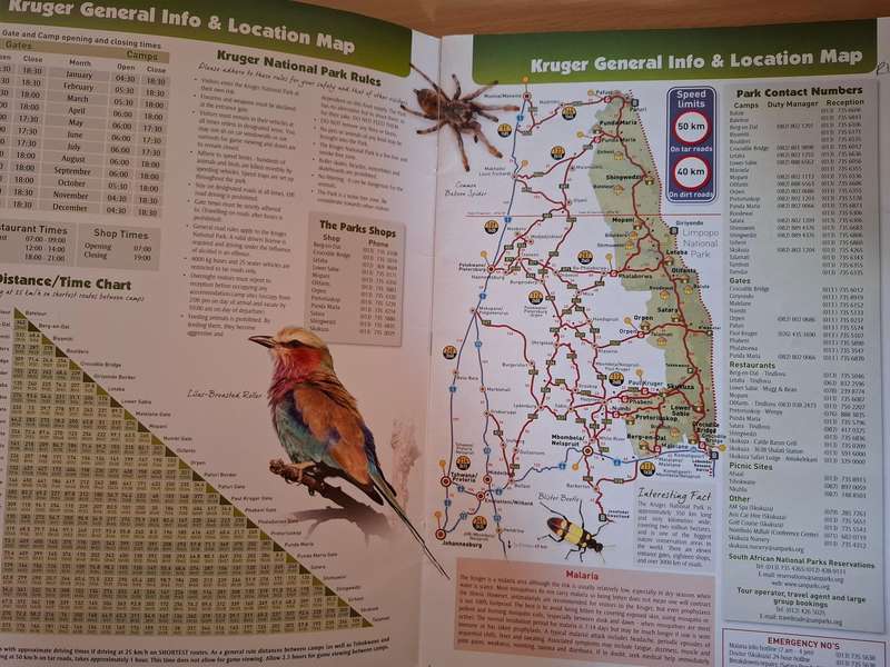 Kruger Park Map 2nd Edition - Mammal, Bird, Reptile Identification /Ecozones, Camp Layouts