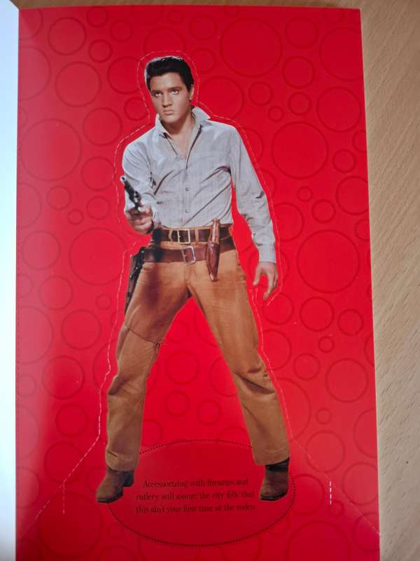 Elvis: Your Personal Fashion Consultant by Michael and Karan Feder