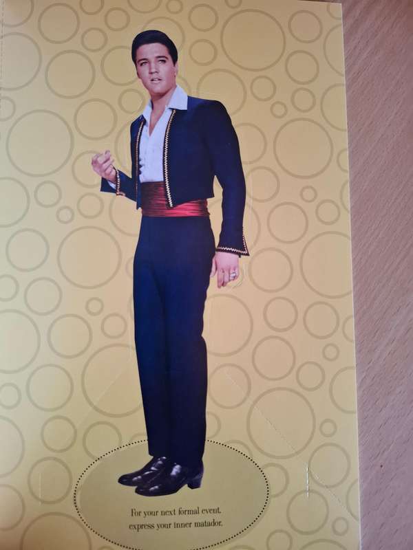 Elvis: Your Personal Fashion Consultant by Michael and Karan Feder