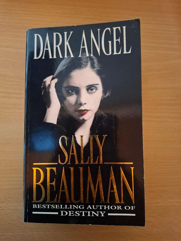 Dark Angel : Sally Beauman  (Paperback)