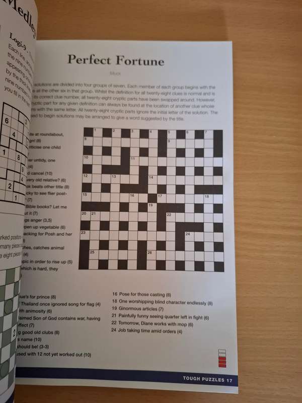 Tough Puzzles - The World`s Most Challenging Puzzles (Paperback)