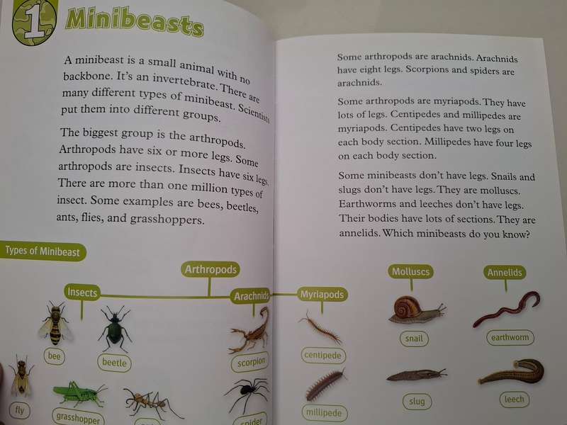 Oxford Read and Discover - Amazing Minibeasts  (Paperback)