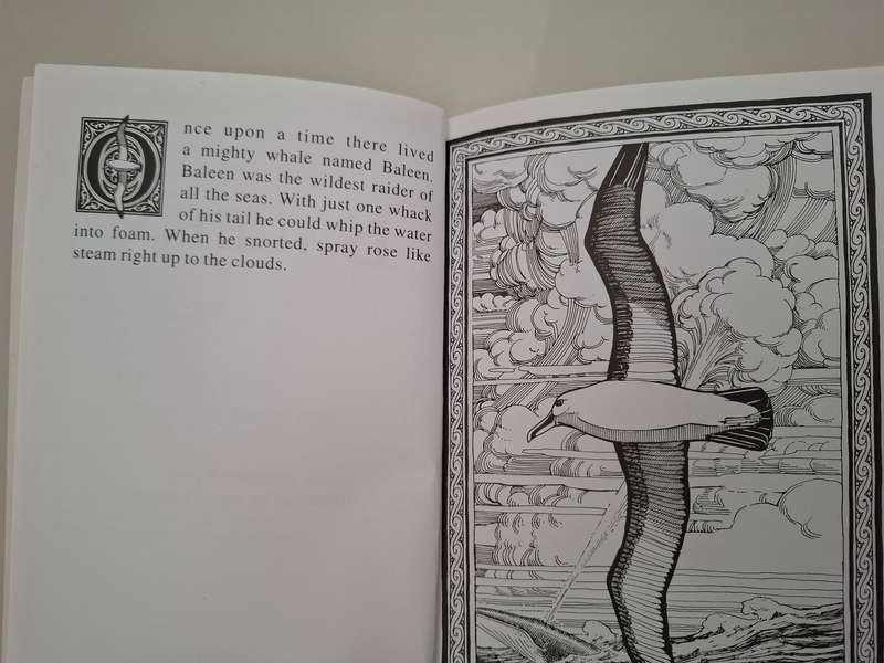 Baleen : Josephine Croser, David Kennett (Paperback)