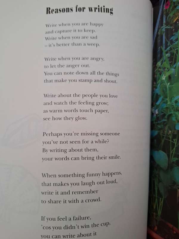Through a Window - Poems selected by Wendy Body (Paperback)