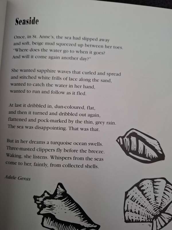 Through a Window - Poems selected by Wendy Body (Paperback)