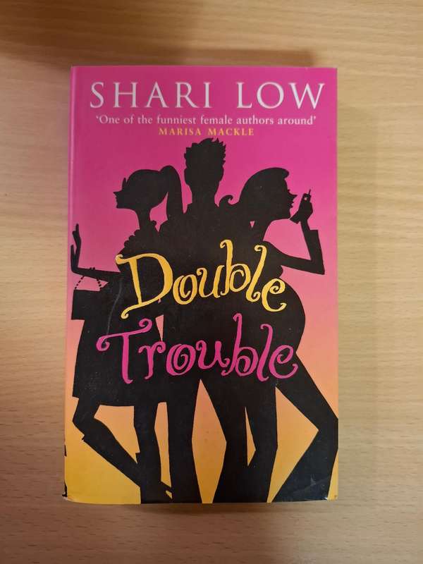 Double Trouble : Shari Low  (Paperback)