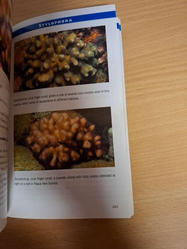 Marine Invertebrates - 500 + Essential-to-know Aquarium Species : Ronald L. Shimek, PH.D.