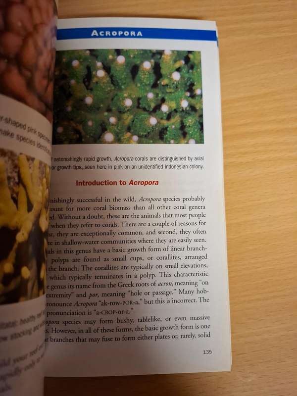 Marine Invertebrates - 500 + Essential-to-know Aquarium Species : Ronald L. Shimek, PH.D.