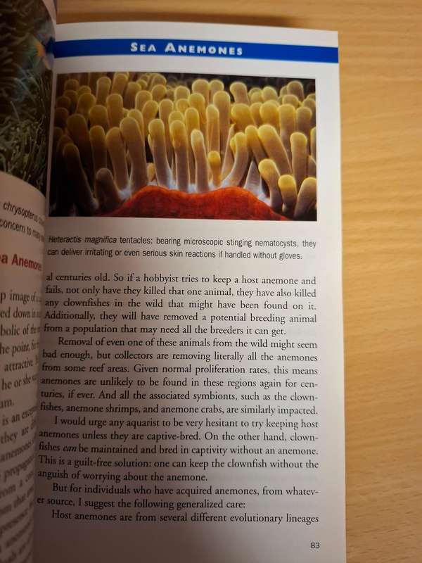 Marine Invertebrates - 500 + Essential-to-know Aquarium Species : Ronald L. Shimek, PH.D.