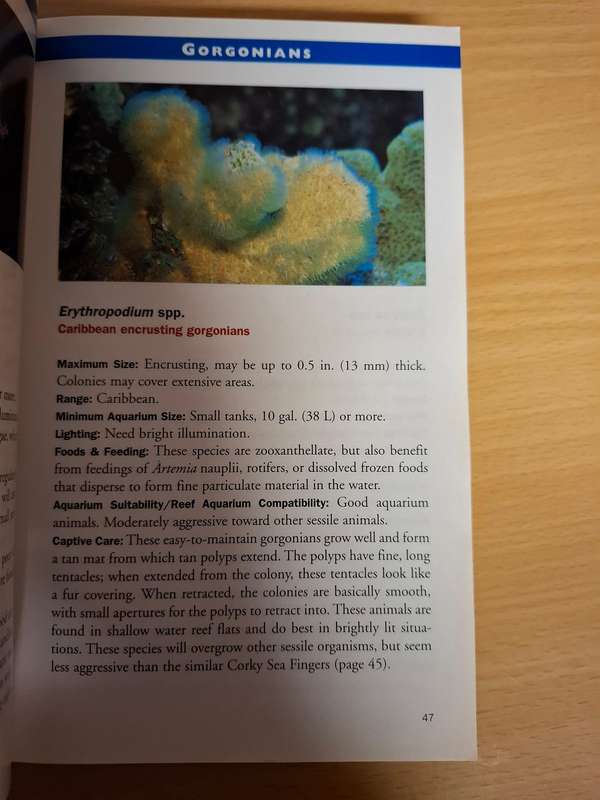 Marine Invertebrates - 500 + Essential-to-know Aquarium Species : Ronald L. Shimek, PH.D.