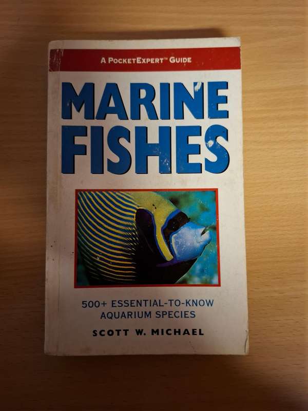 Marine Fishes - 500+ Essetial-to-know Aquarium Species : Scott W. Michael  (Paperback)