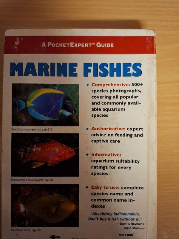 Marine Fishes - 500+ Essetial-to-know Aquarium Species : Scott W. Michael  (Paperback)