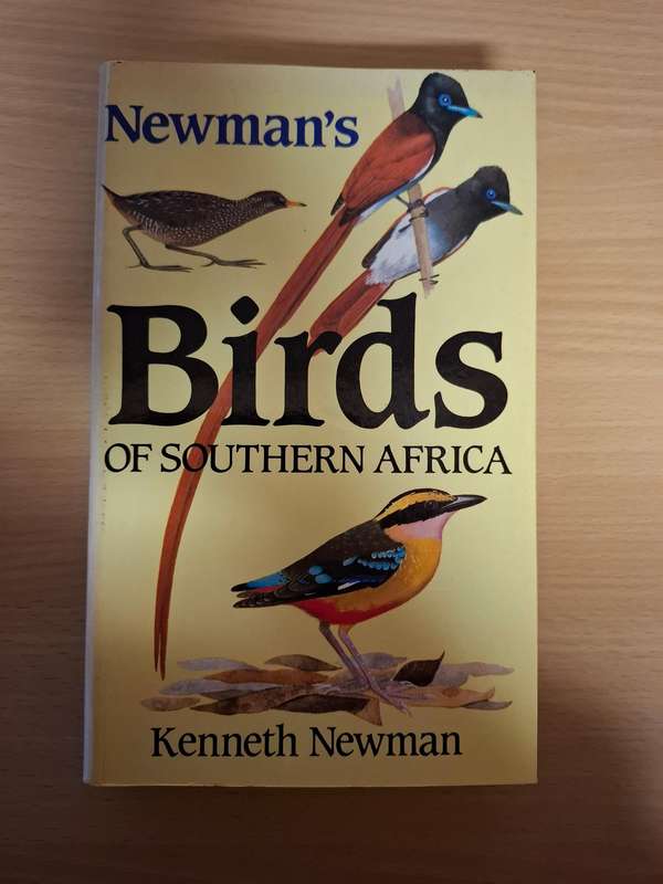 Newman`s Birds of Southern Africa : Kenneth Newman  (Paperback)