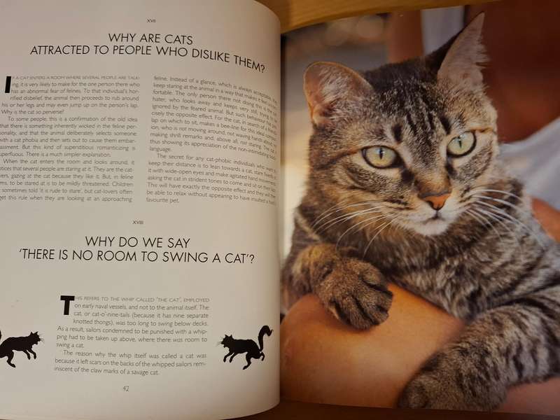 Catwatching - Desmond Morris  (Paperback)