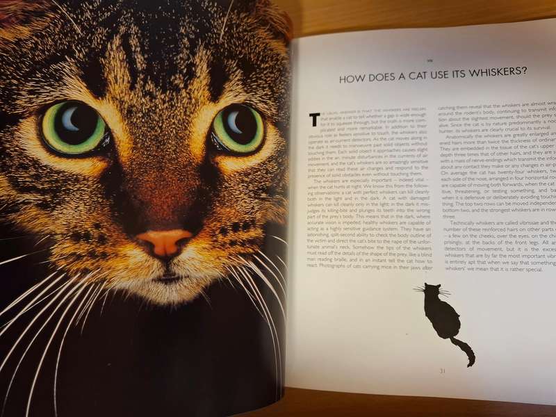 Catwatching - Desmond Morris  (Paperback)
