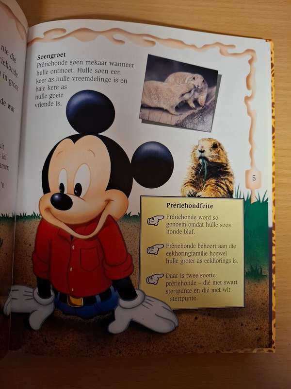 Mickey Wonder Waarom - Waarom slaap luiperds in bome? (Hardcover)