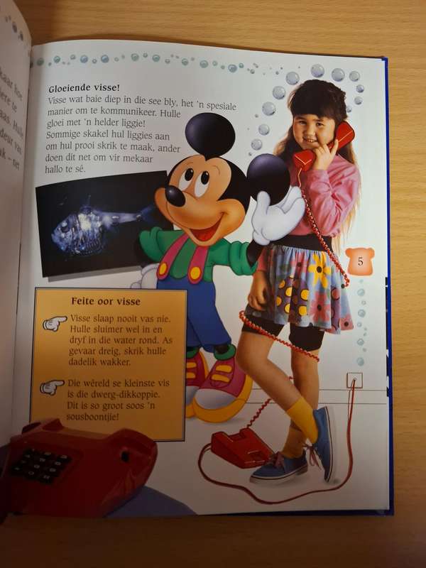 Mickey Wonder Waarom - Waarom sing walvisse? (Hardcover)