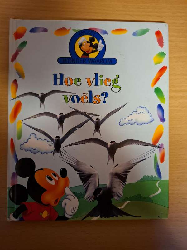 Mickey Wonder Waarom - Hoe vlieg voels? (Hardcover)