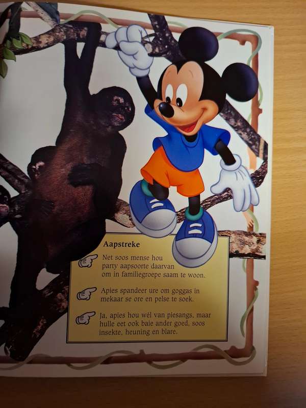 Mickey Wonder Waarom - Hoe vlieg voels? (Hardcover)