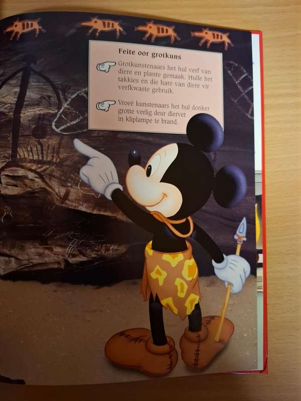Mickey Wonder Waarom - Waat het ridders in die dag gedra? (Hardcover)
