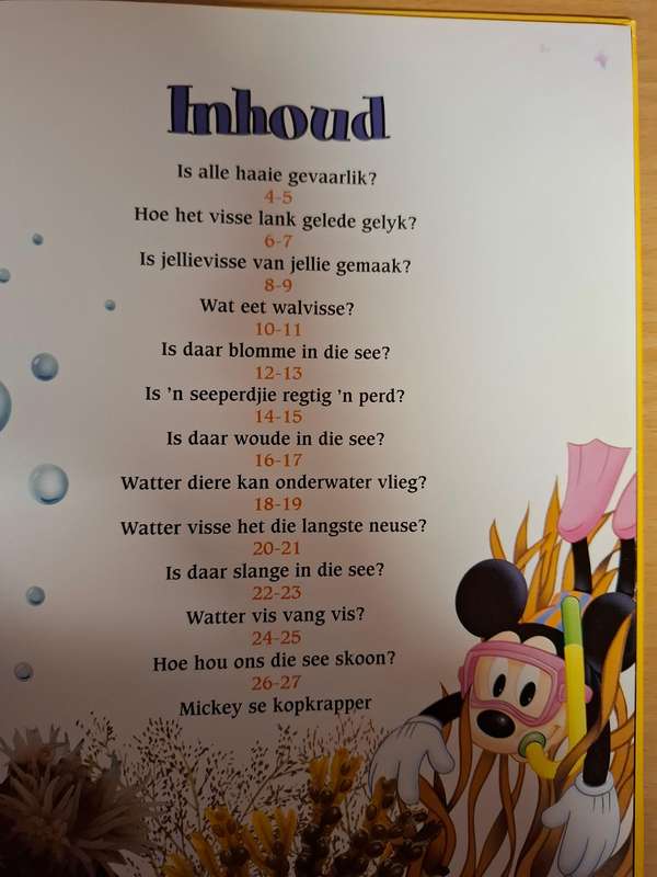 Mickey Wonder Waarom - Is jellievisse van jellie gemaak? (Hardcover)