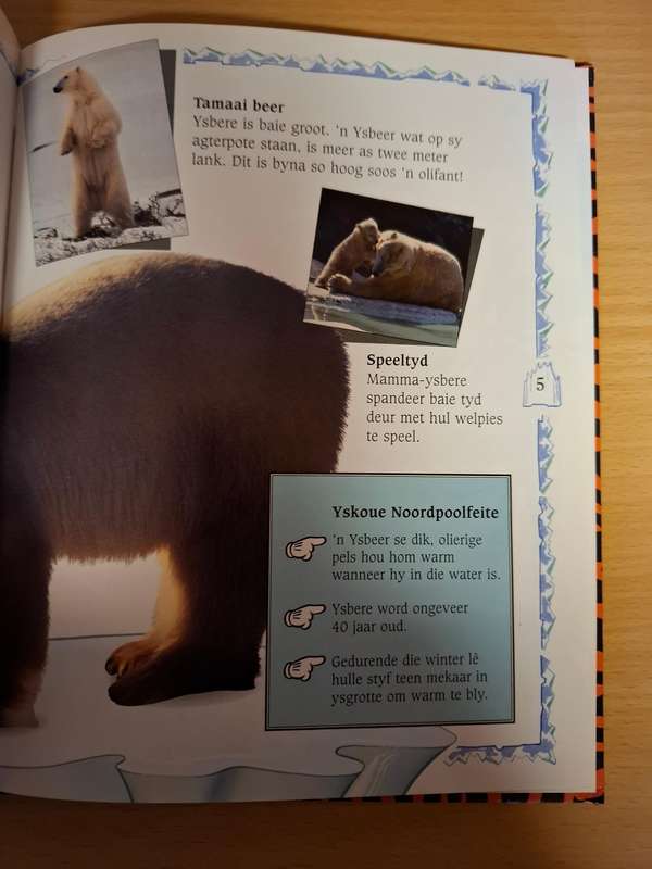 Mickey Wonder Waarom - Waarom het tiere strepe (Hardcover)