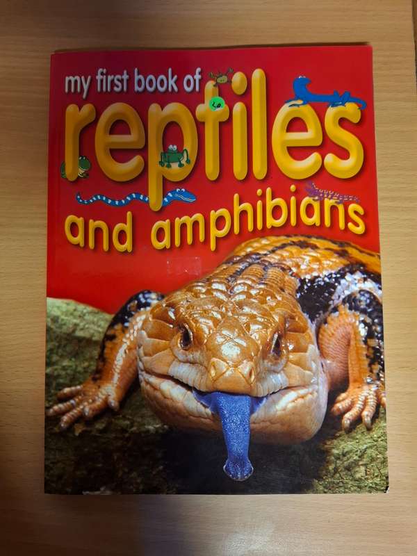 My First Book of Reptiles and Amphibians by Dee Phillips  (Paperback)