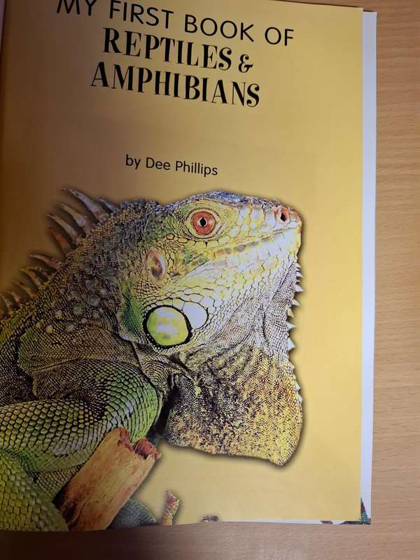 My First Book of Reptiles and Amphibians by Dee Phillips  (Paperback)