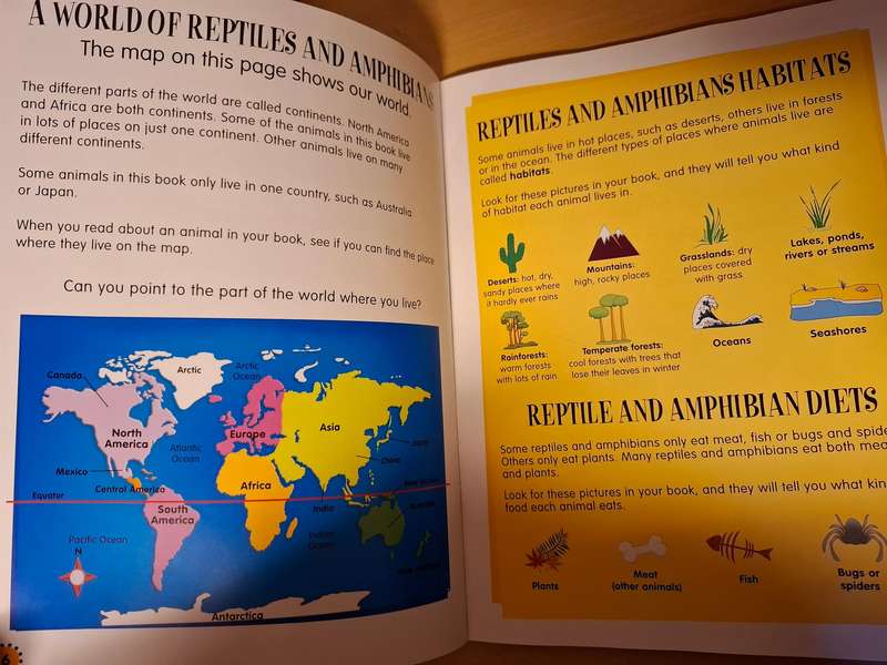 My First Book of Reptiles and Amphibians by Dee Phillips  (Paperback)