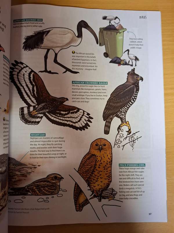 Go! Field Guide for Kids - Animals, Birds, Reptiles, Insects, Marine Life, Veld,Flowers (Paperback)