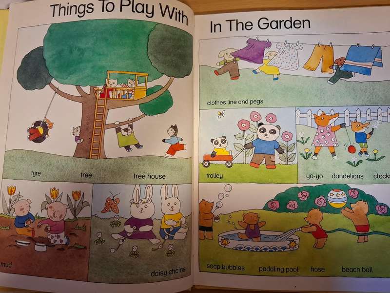 Things to Play With : Anne Rockwell  (Hardcover)