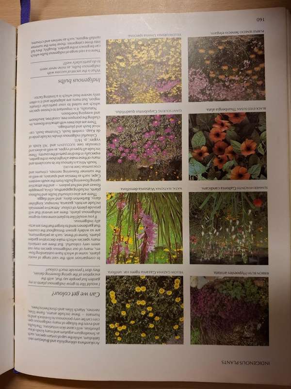 Reader`s Digest - Your Gardening Questions Answered (Hardcover)