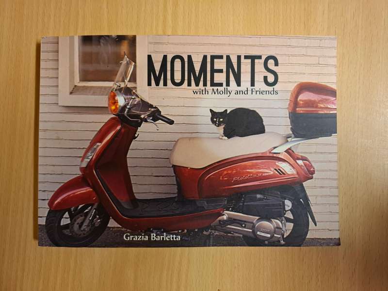 Moments with Molly and Friends : Grazia Barletta  (Paperback)