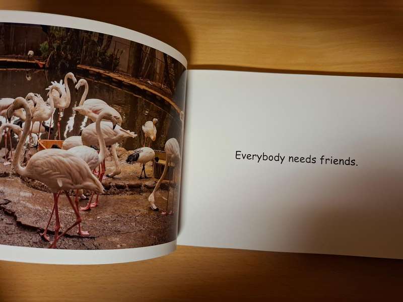 Moments with Molly and Friends : Grazia Barletta  (Paperback)