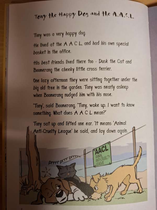 The Adventures of Tony and Friends Storybook  (no cd included) Hardcover