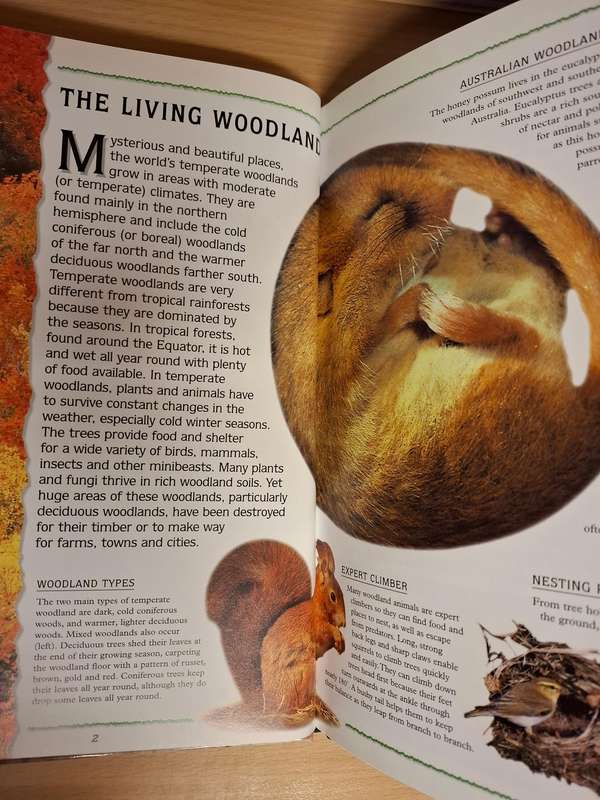wild Woodlands by Barbara Taylor  (Hardcover)