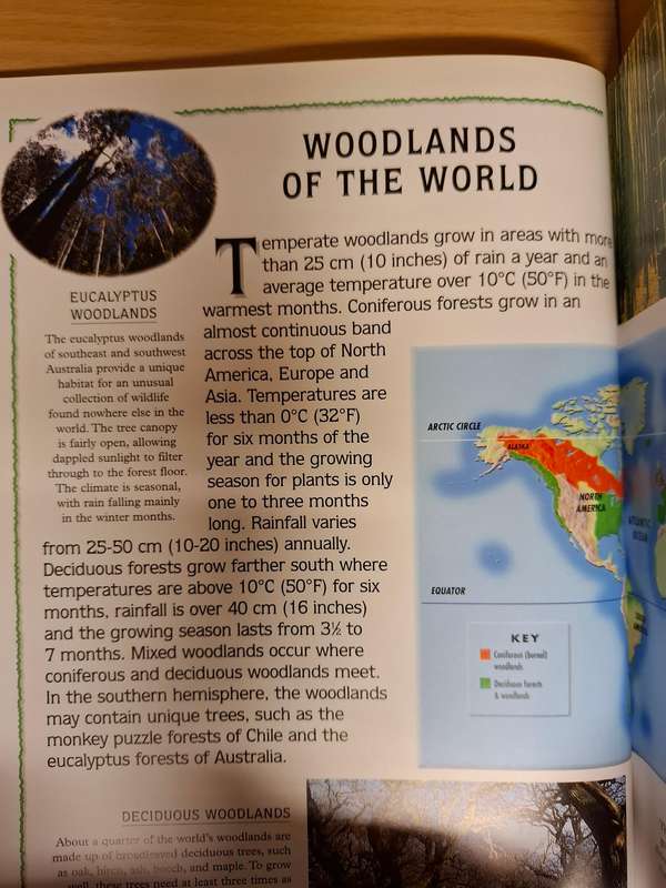 wild Woodlands by Barbara Taylor  (Hardcover)