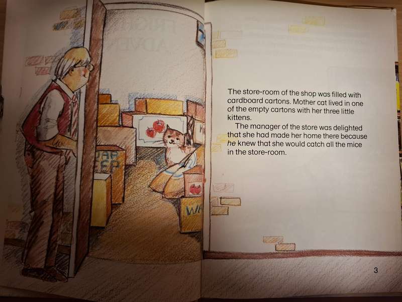 Smokey`s Frightening Adventure : Rina Muller  (Hardcover)