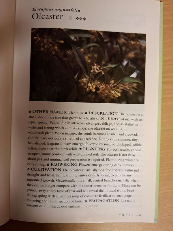 100 Plants for Quick Growing Gardens : Mary Moody (Hardcover)
