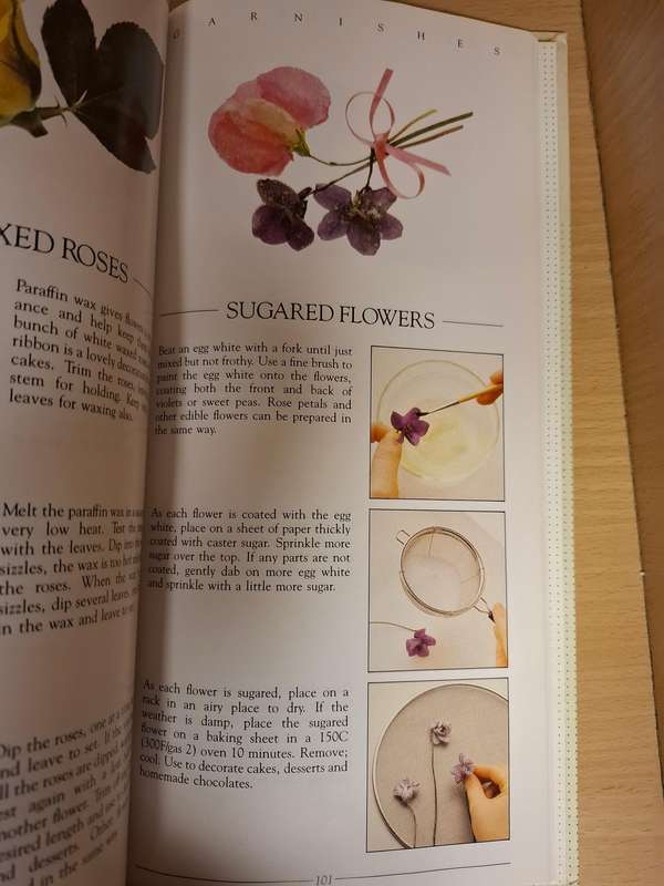 The Book of Garnishes : June Budgen (Hardcover)
