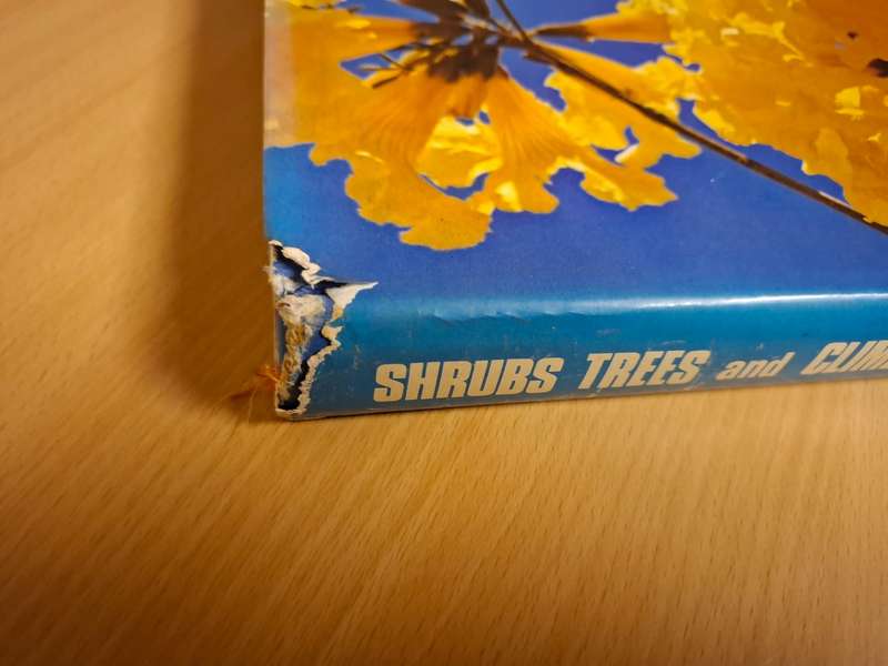 Shrubs, Trees and Climbers : Sima Eliovson  (Hardcover)