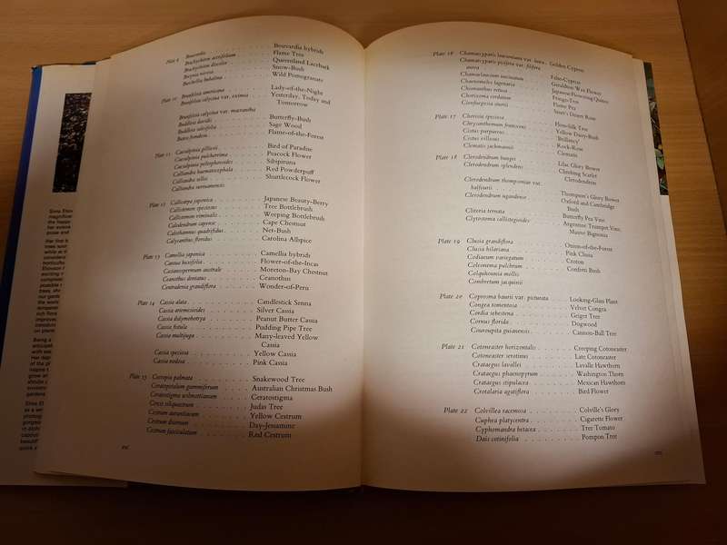Shrubs, Trees and Climbers : Sima Eliovson  (Hardcover)