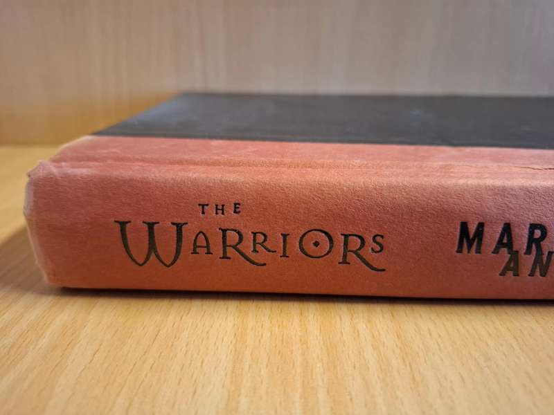 The Warrior : Mark Andrew Olsen (Hardcover)