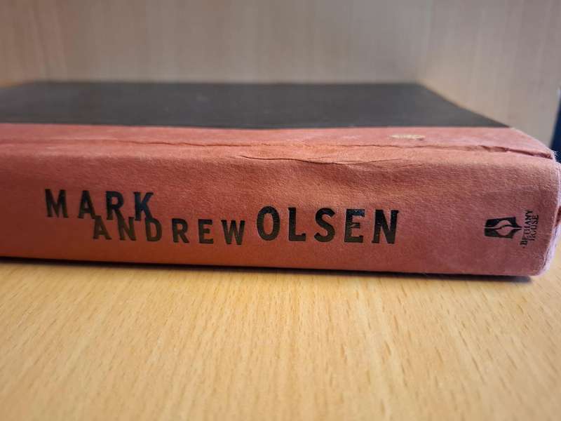 The Warrior : Mark Andrew Olsen (Hardcover)