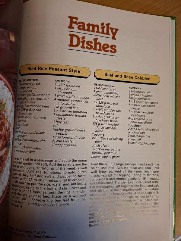 100 Mince Dishes Edited by Stella Joyce  (Hardcover)